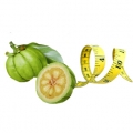 garcinia_cambogia