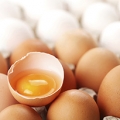 Συντήρηση και φρεσκότητα αυγών